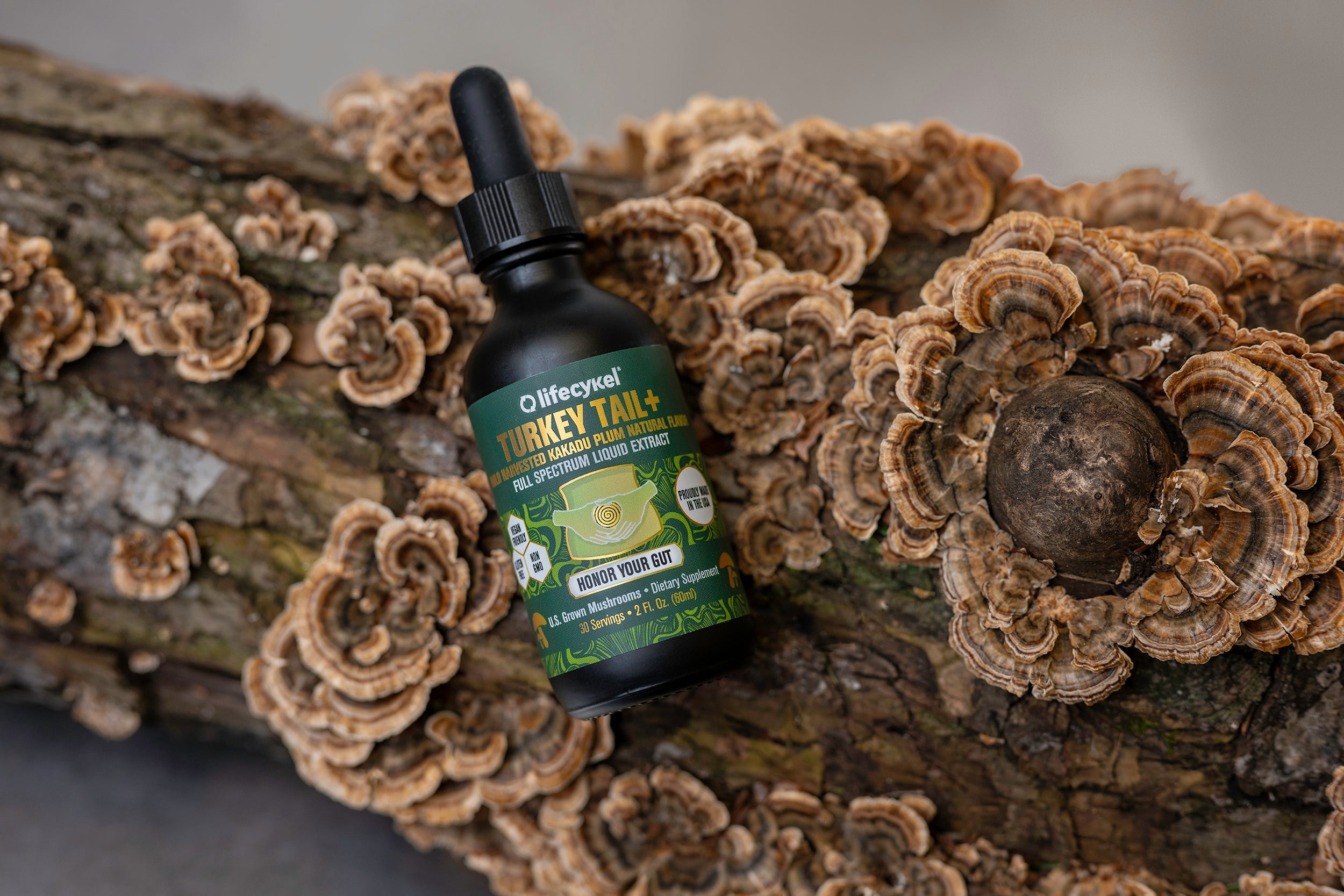 Gut Health & Immunity
