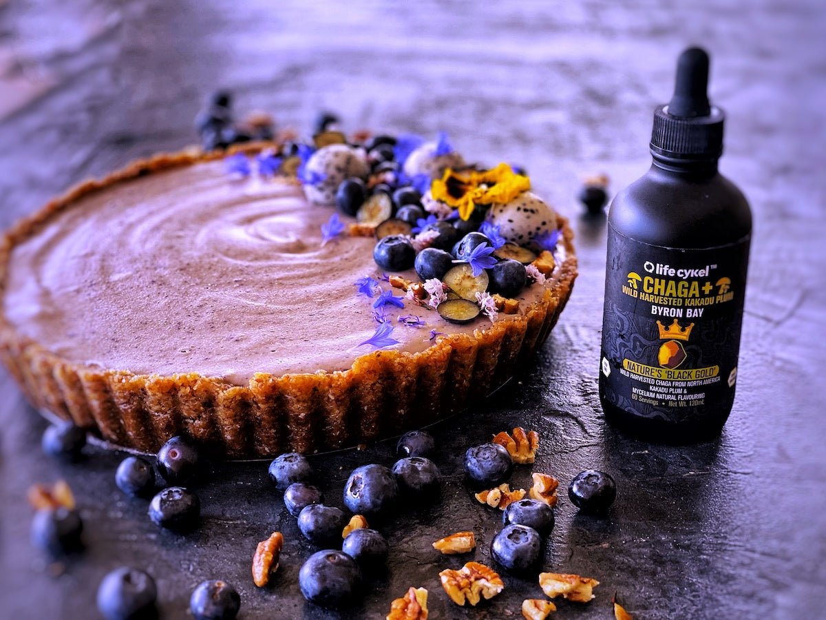 Vegan Blueberry Chaga Cheesecake