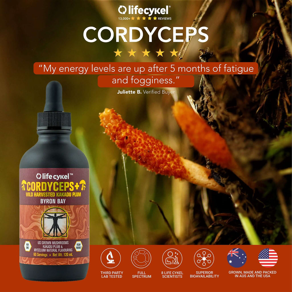 Cordyceps Mushroom Extract Flavourings