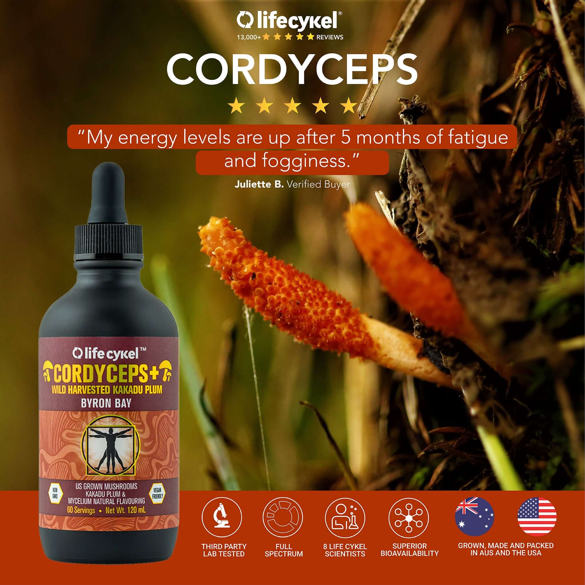 Cordyceps Mushroom Extract Flavouring