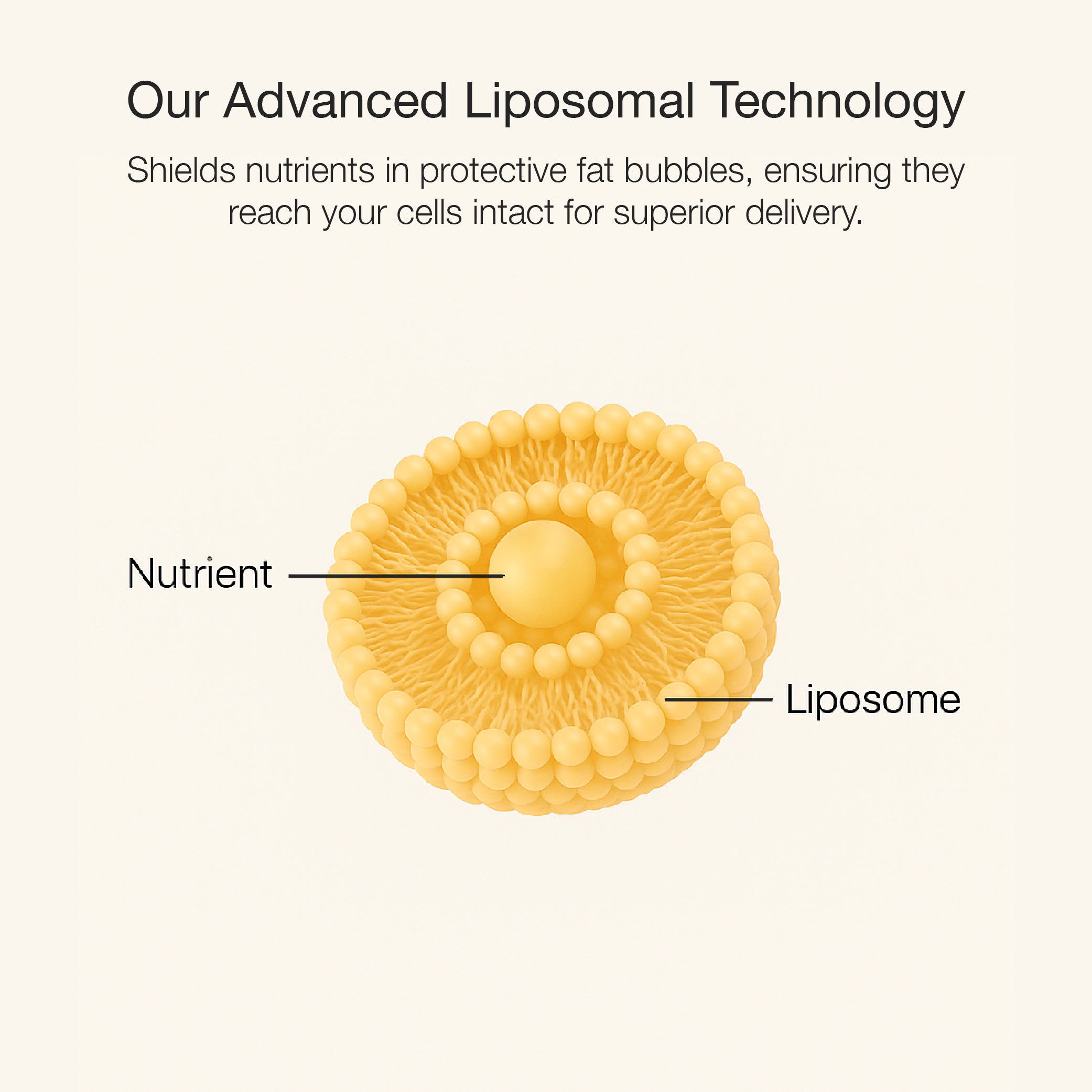 Liposomal NR+