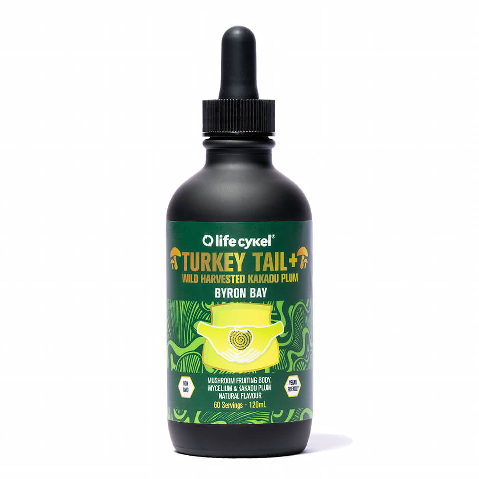 Turkey Tail Mushroom Extract