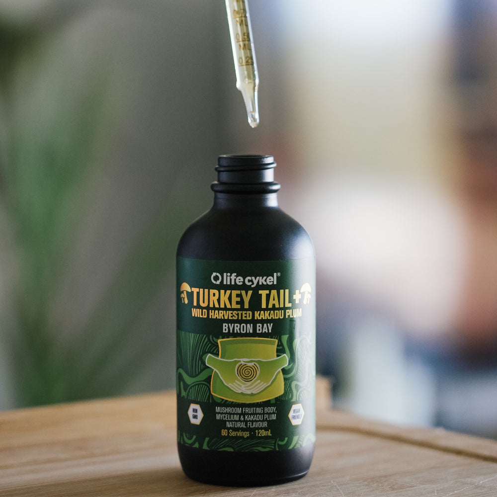 Turkey Tail Mushroom Extract Flavourings