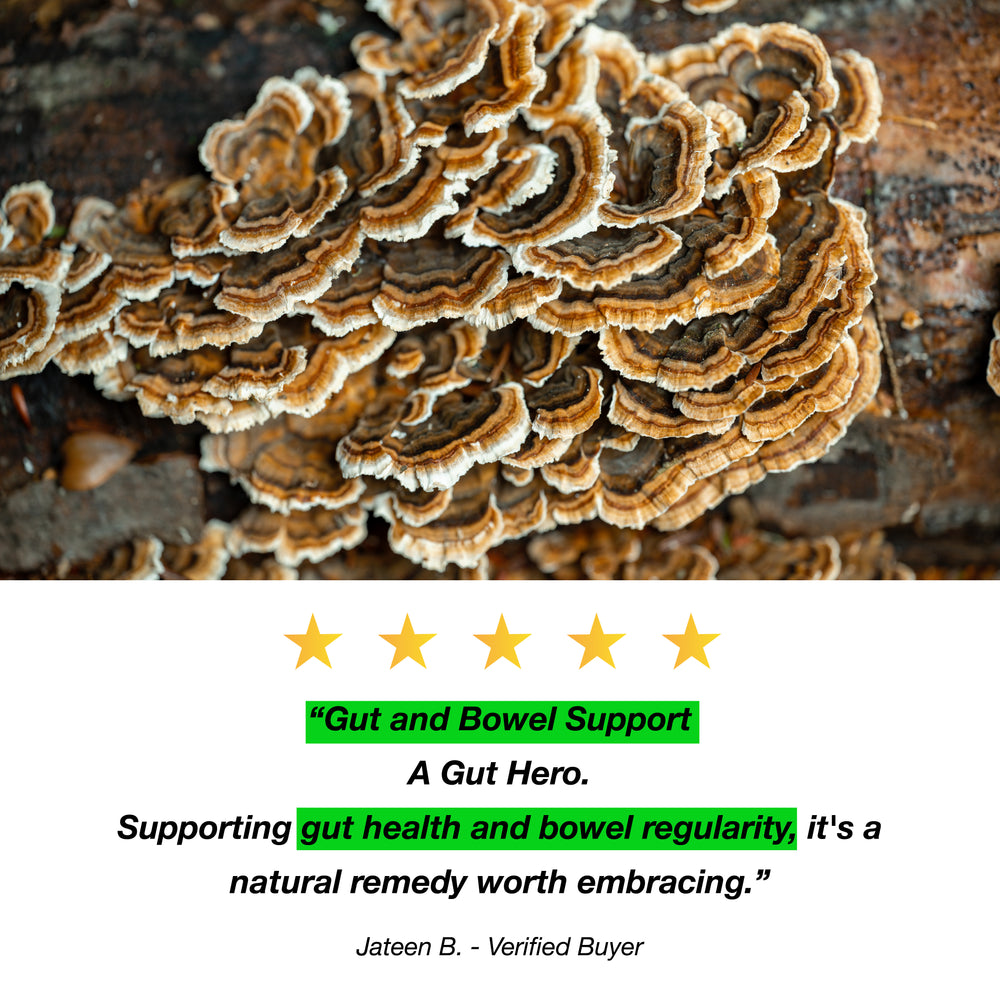 Turkey Tail Mushroom Extract Flavourings