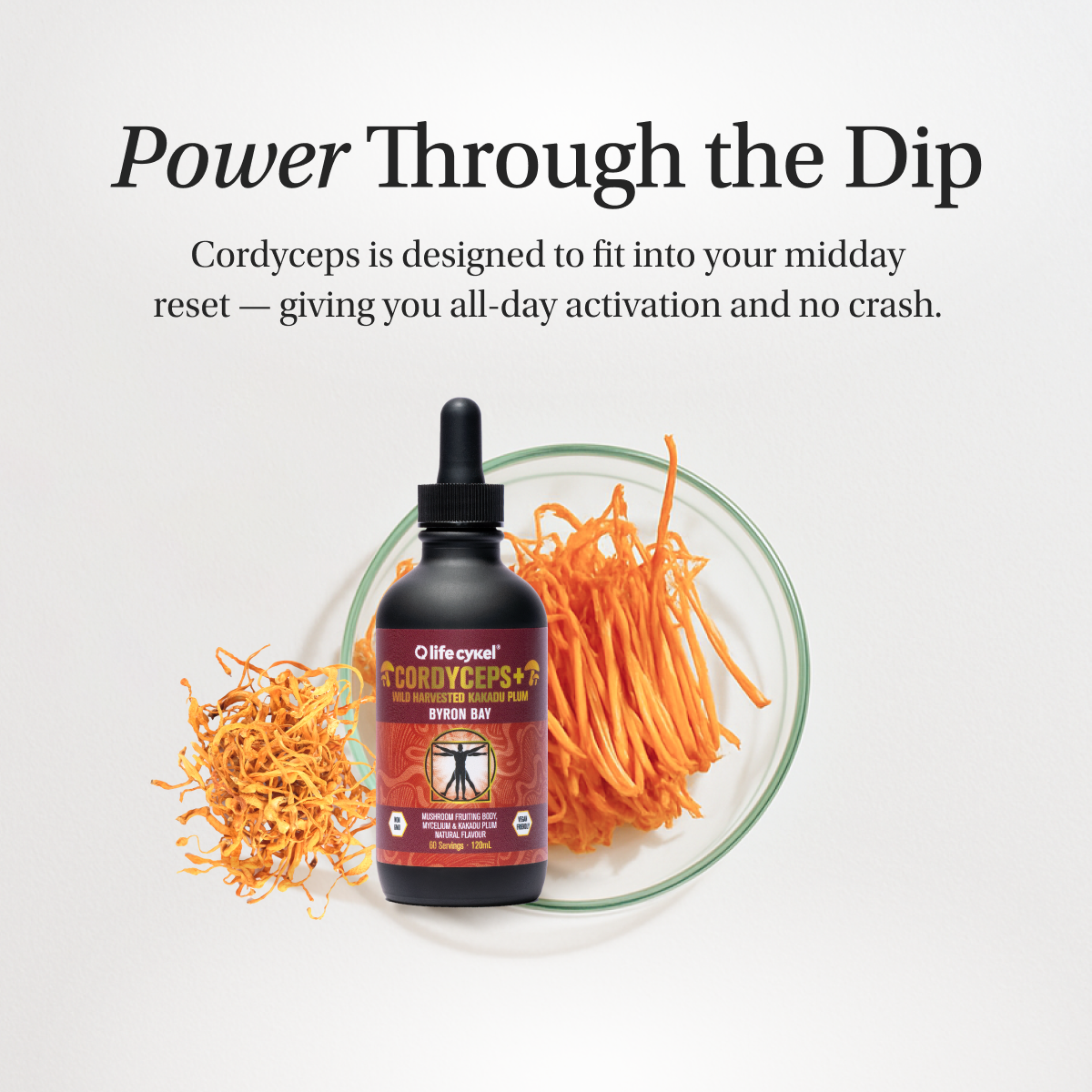 Cordyceps Mushroom Extract