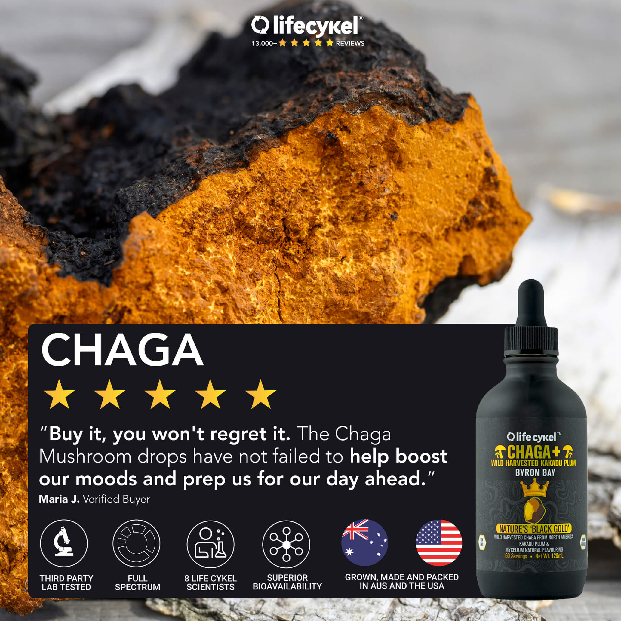 Chaga Mushroom Extract Flavouring