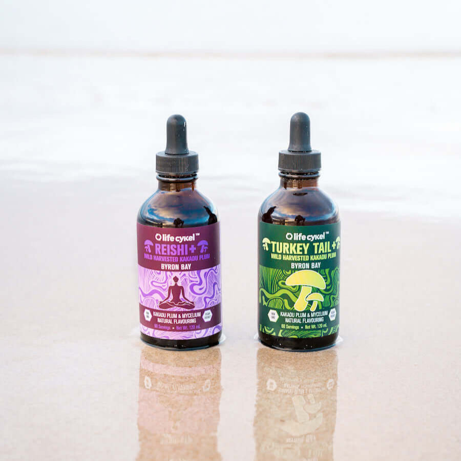 Immunity Pack - Turkey Tail & Reishi