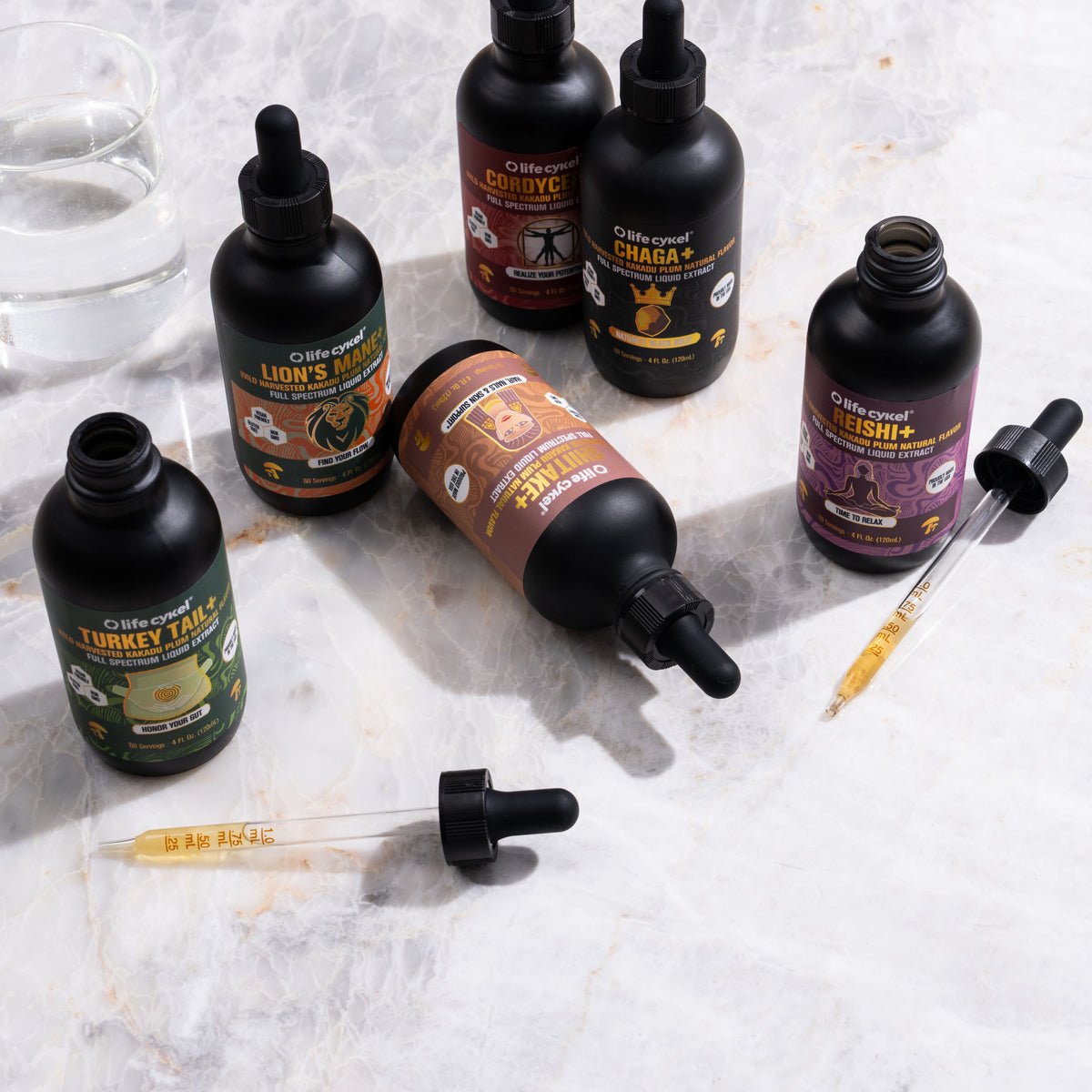 Shiitake Mushroom Liquid Extract - the beauty mushroom. – Lifecykel