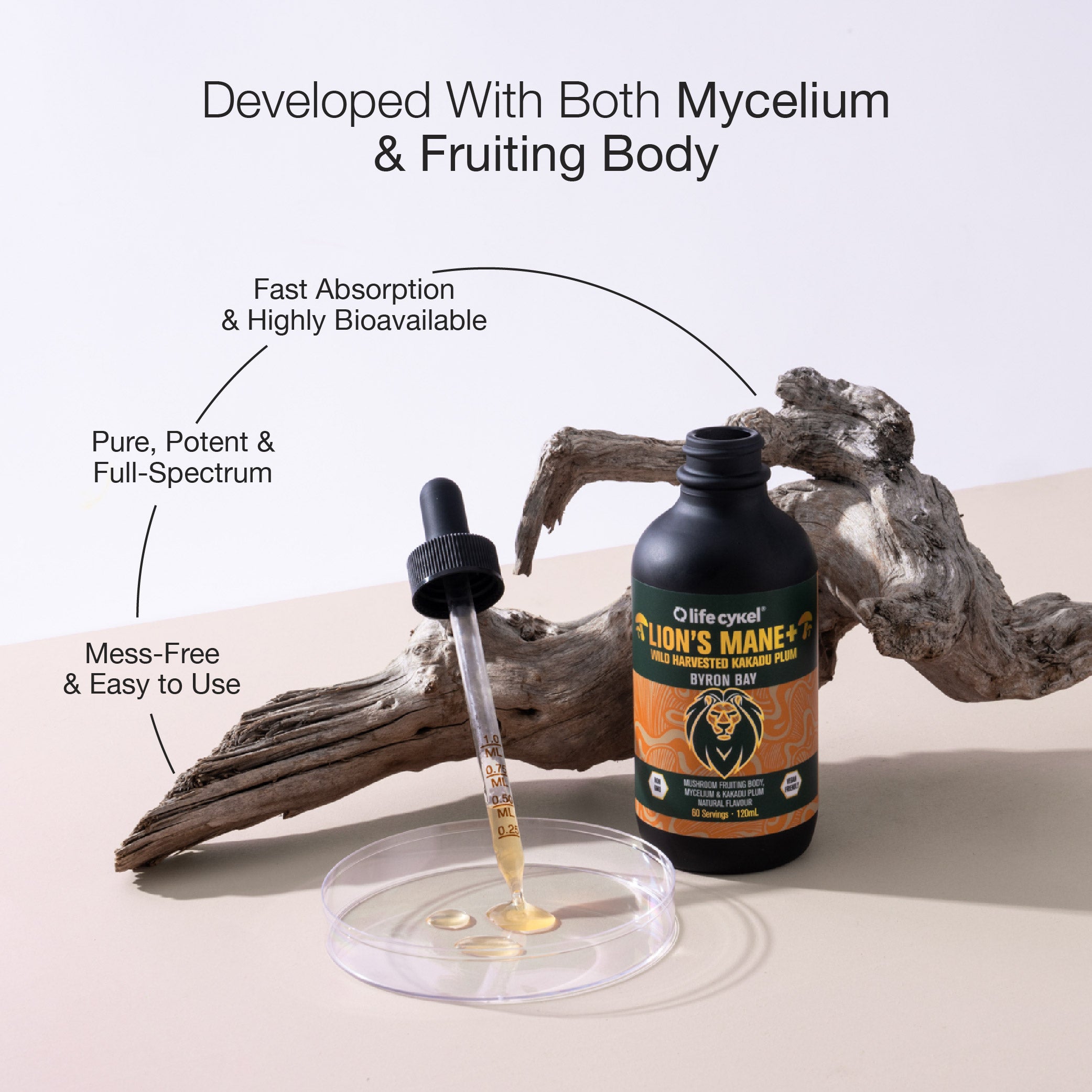 Lion's Mane Mushroom Extract