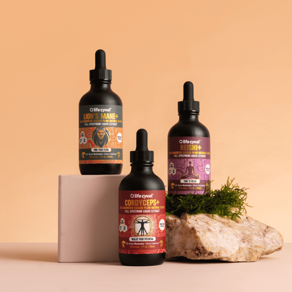 Premium Mushroom Extracts & Products – Lifecykel