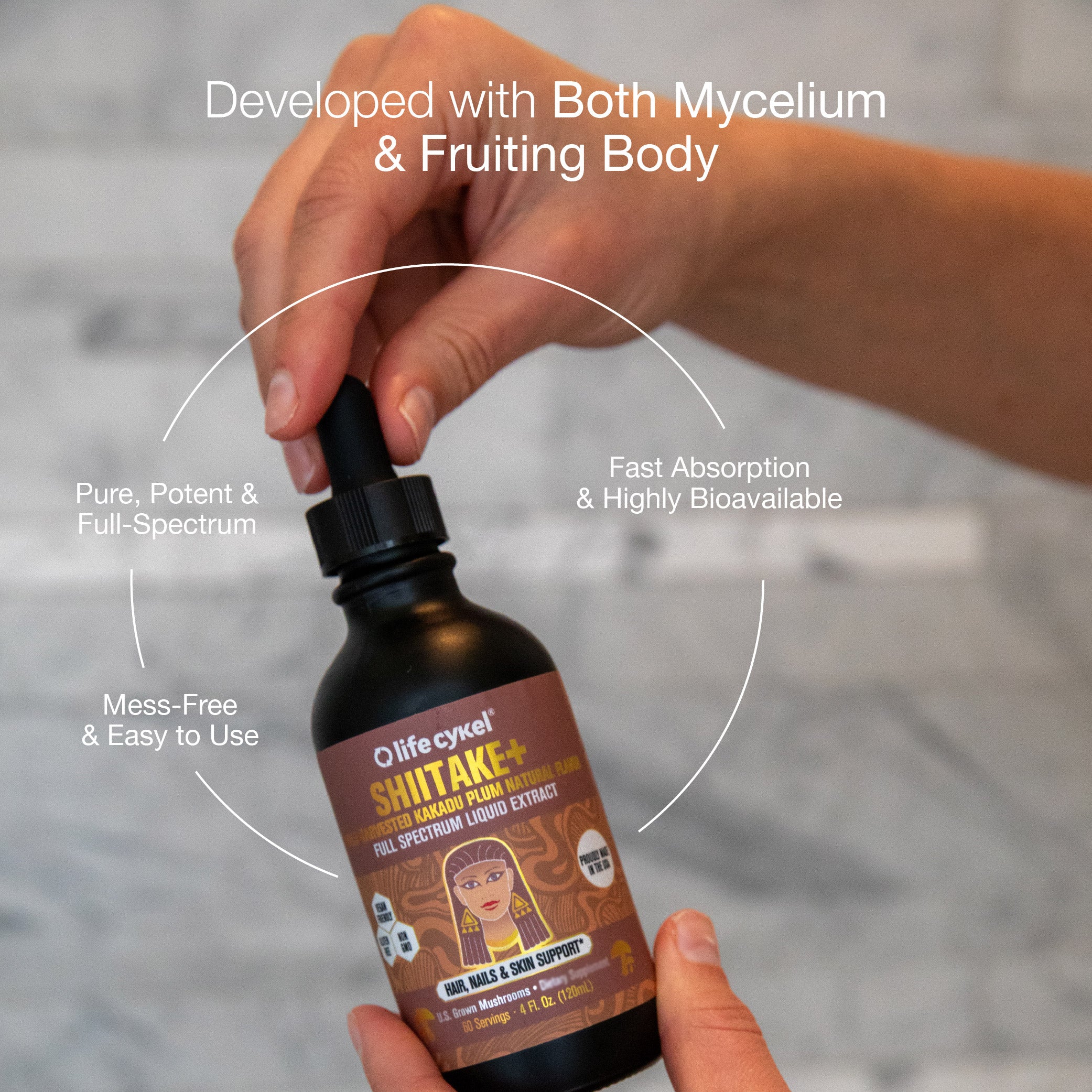 Shiitake Mushroom Extract