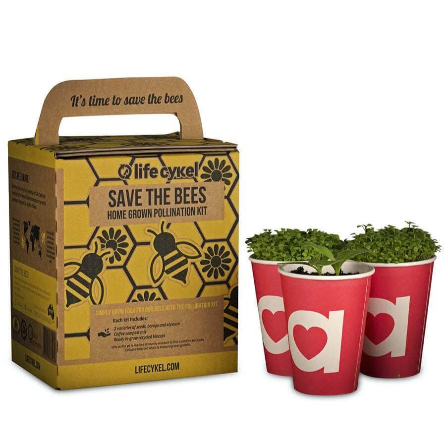 Bee Pollination Grow Kit