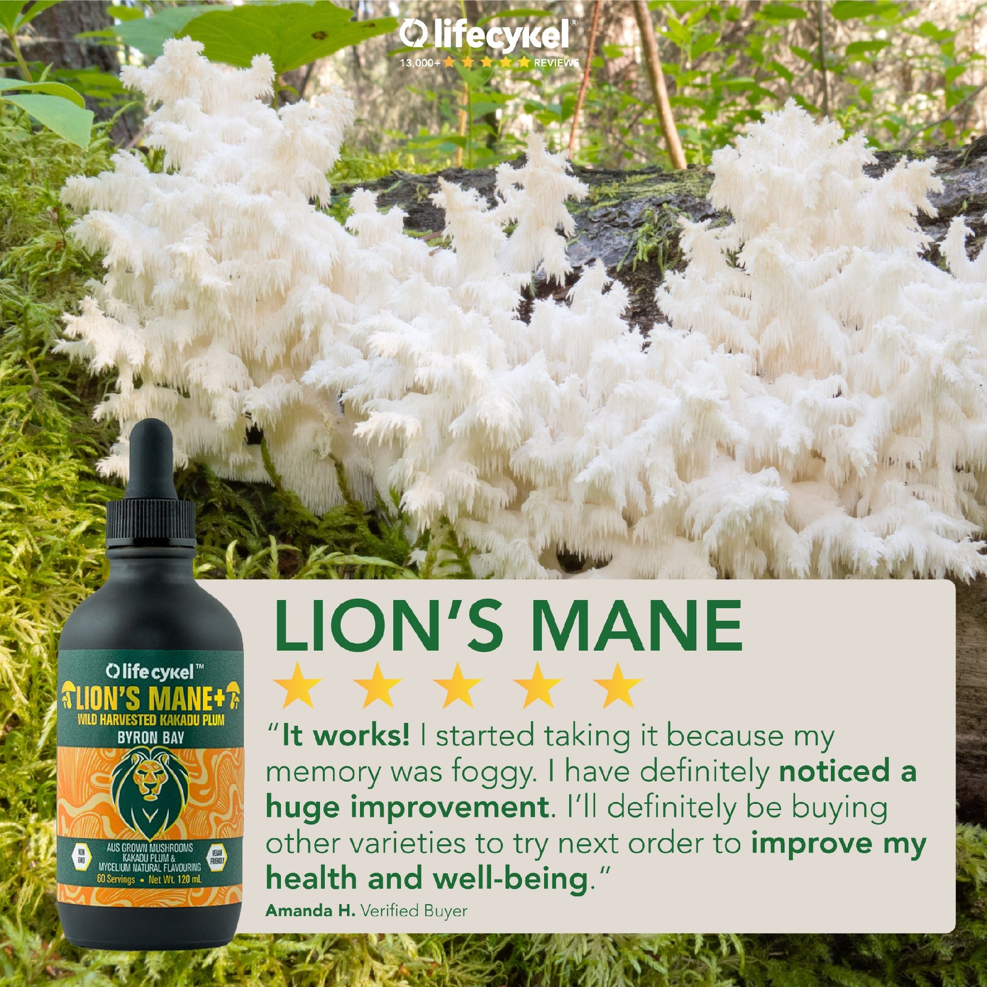 1 Best Australian Lion's Mane Mushroom Extract — Life Cykel